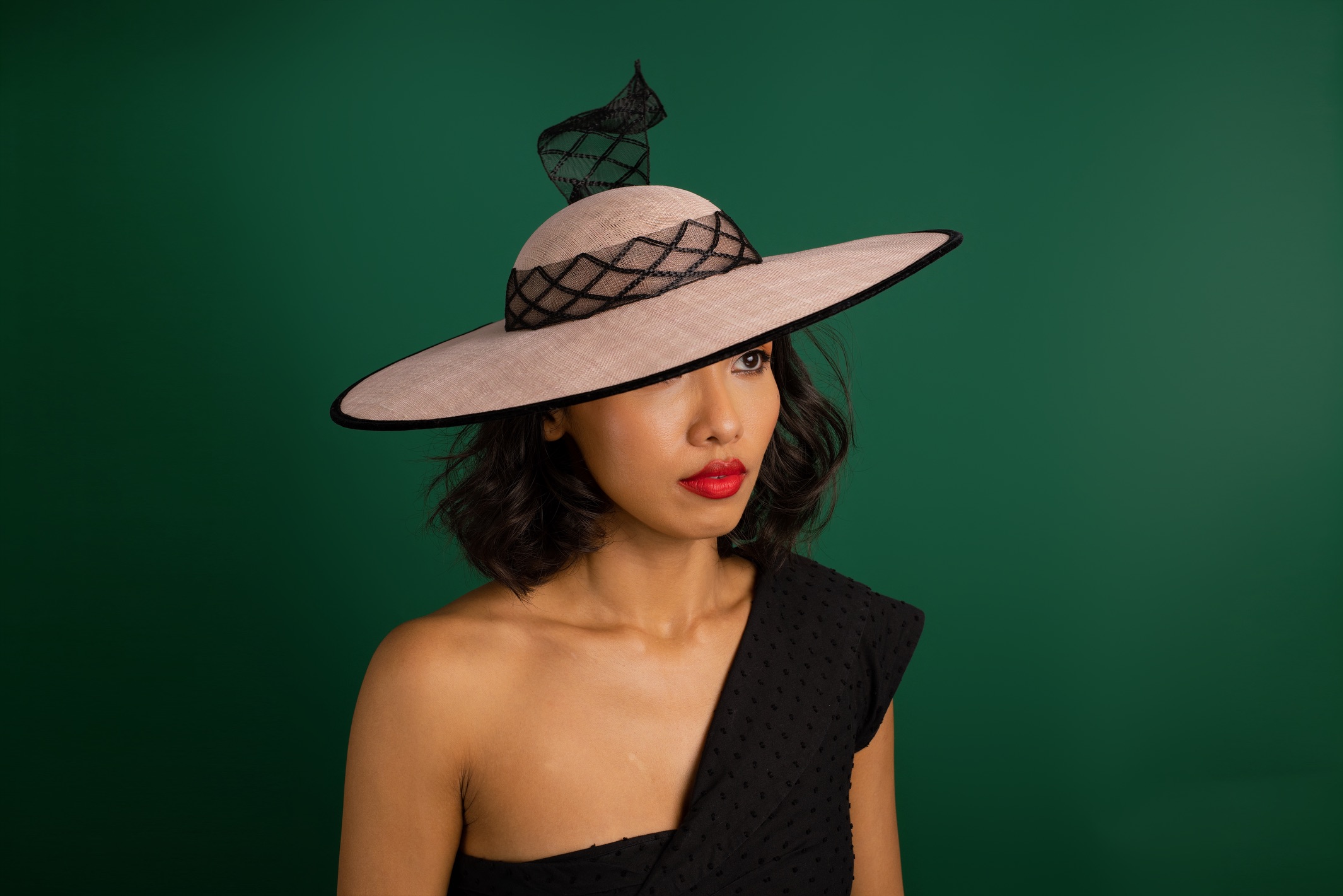 Swing and Soar Pink and black crinoline hat