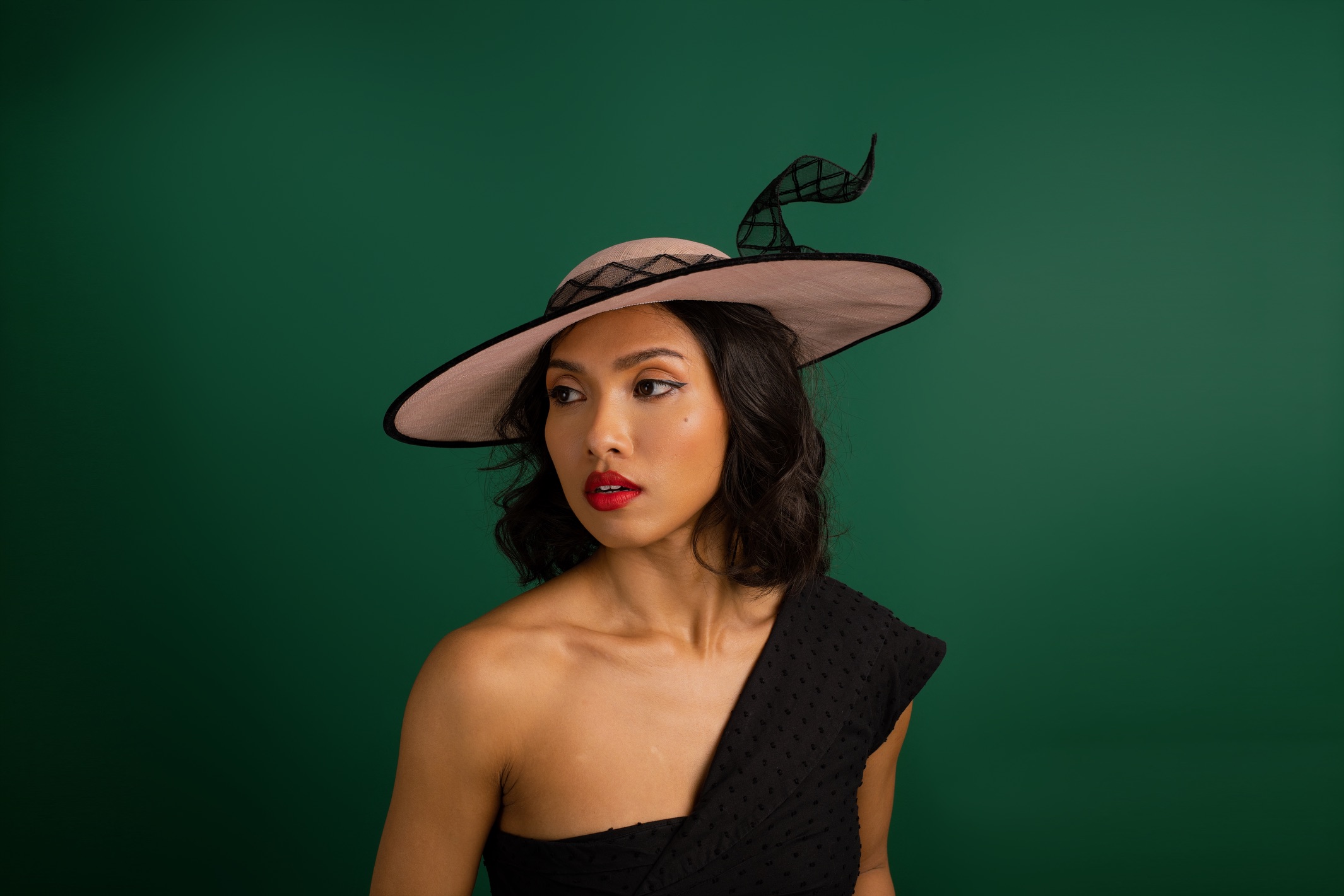 Swing and Soar Pink and black crinoline hat