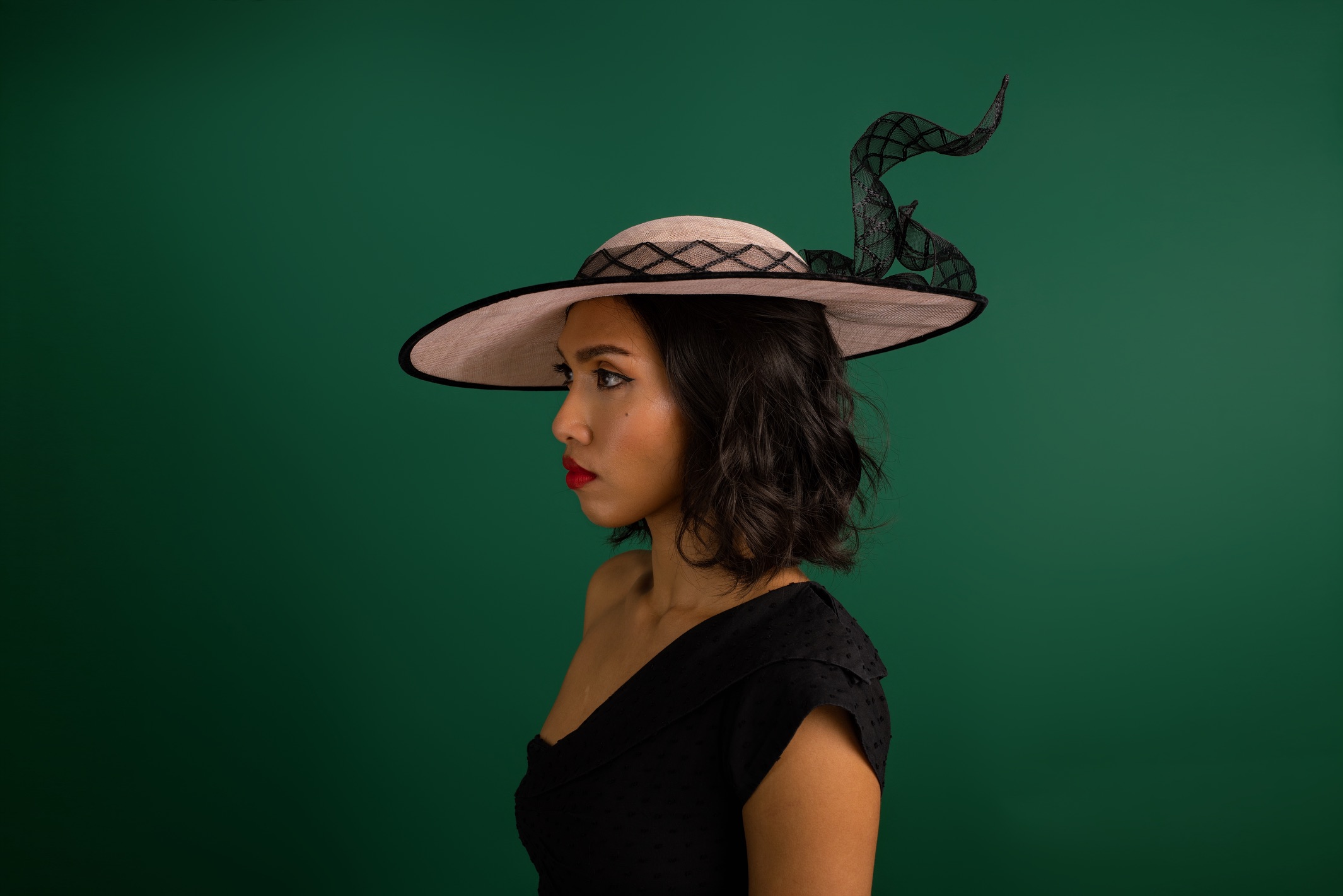 Swing and Soar Pink and black crinoline hat